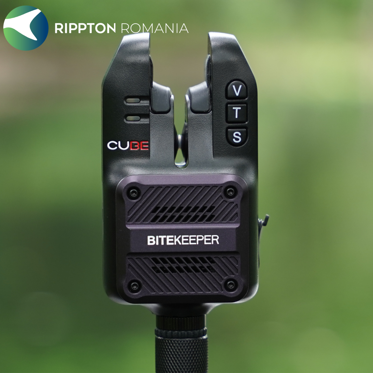 Rippton - Cube indicator de mușcătură
