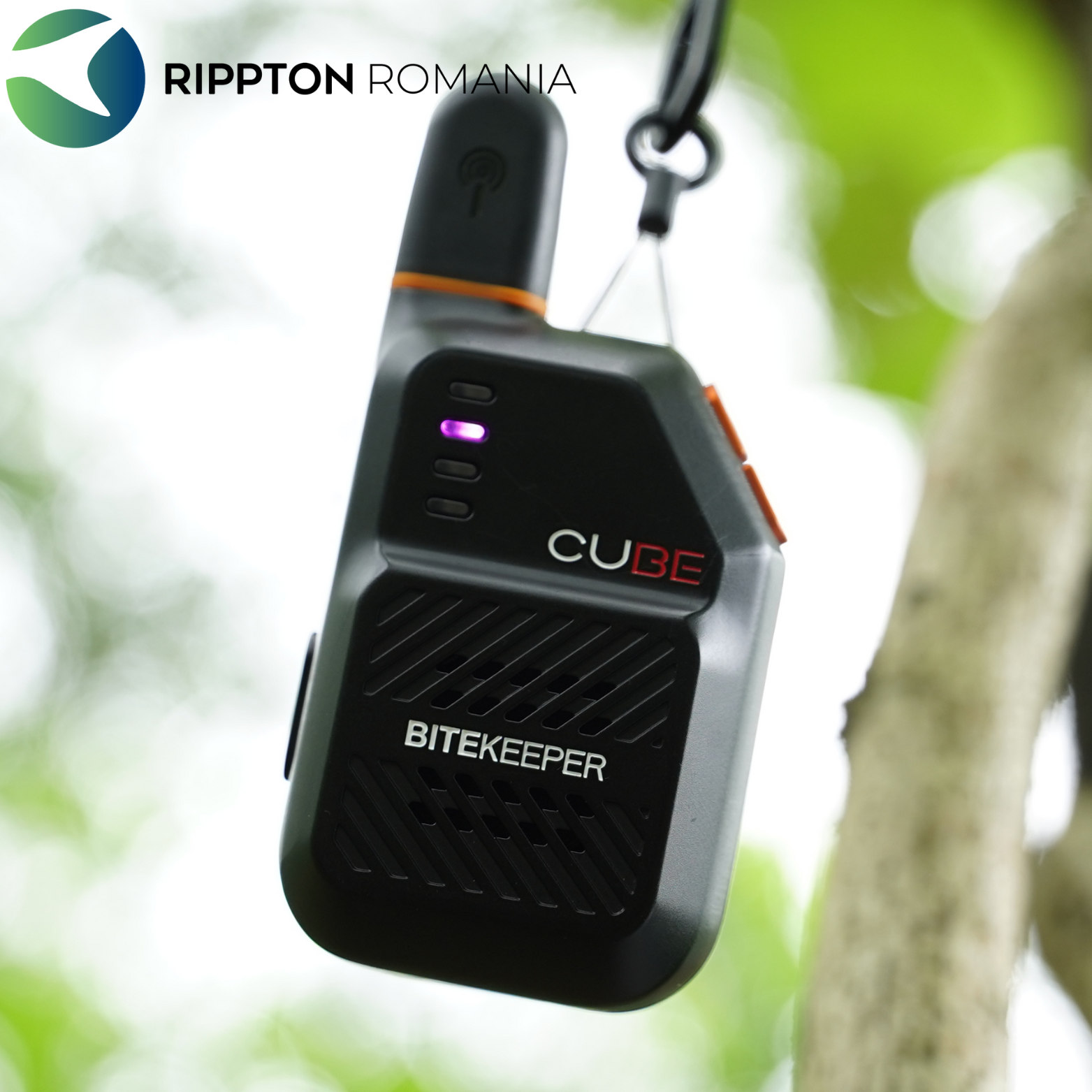 Rippton - Cube indicator de mușcătură