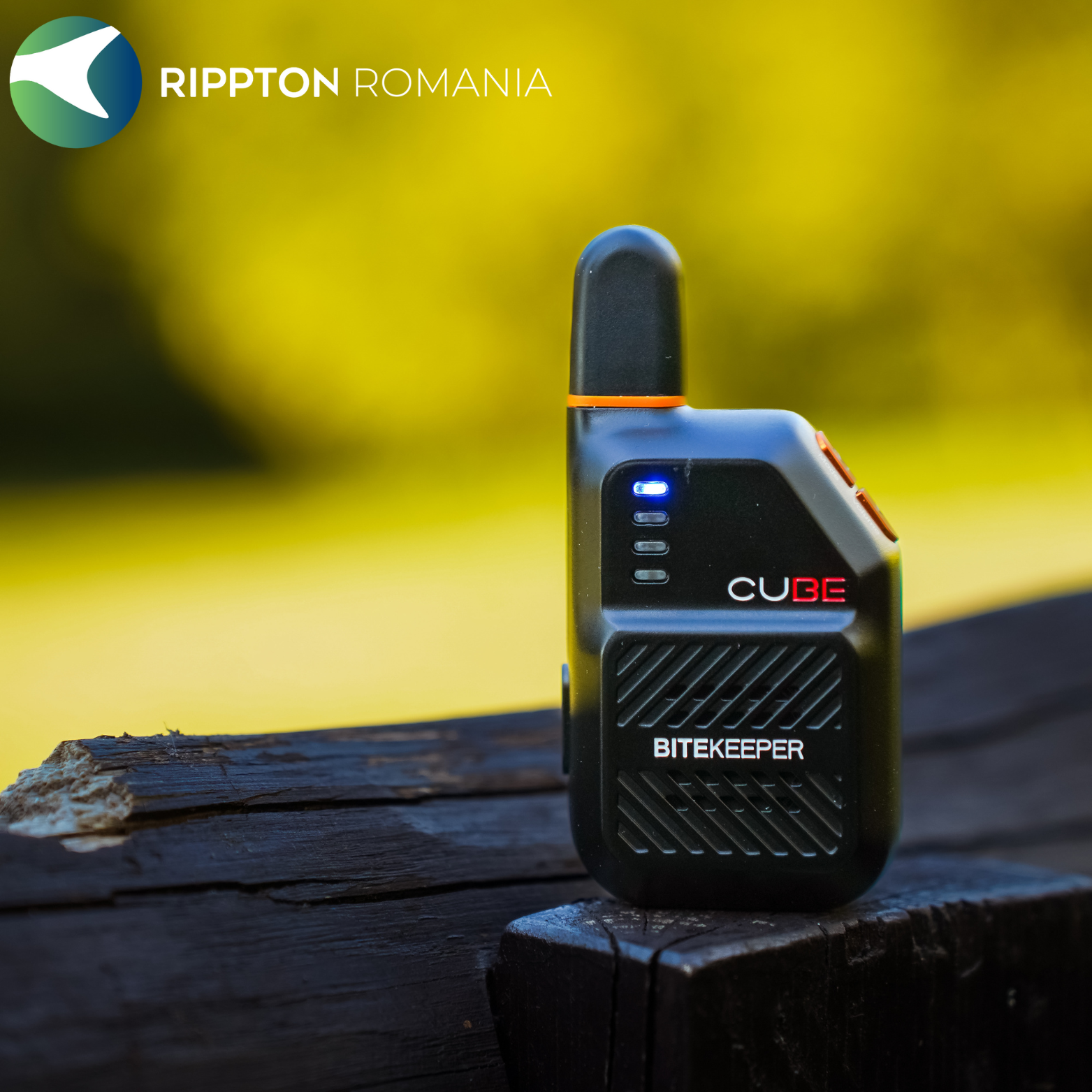 Rippton - Cube indicator de mușcătură