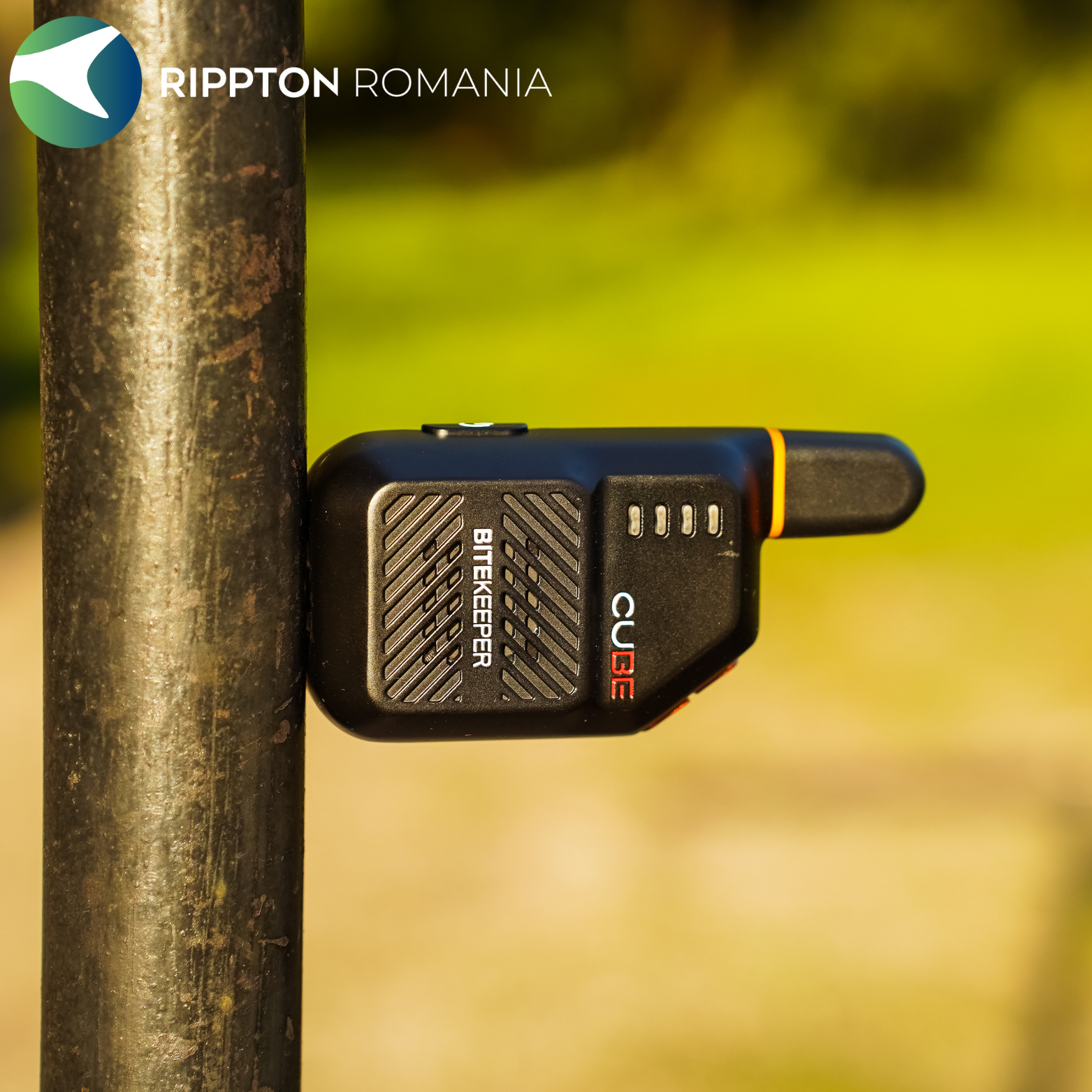 Rippton - Cube indicator de mușcătură