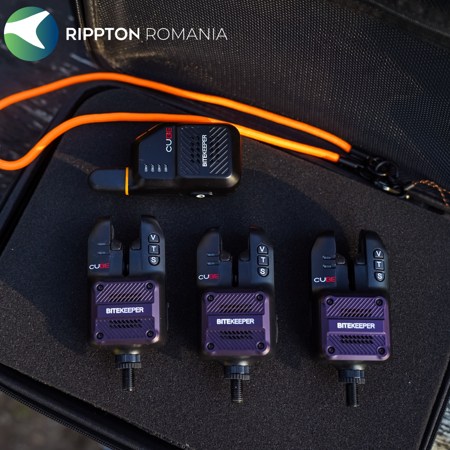 Rippton - Cube indicator de mușcătură