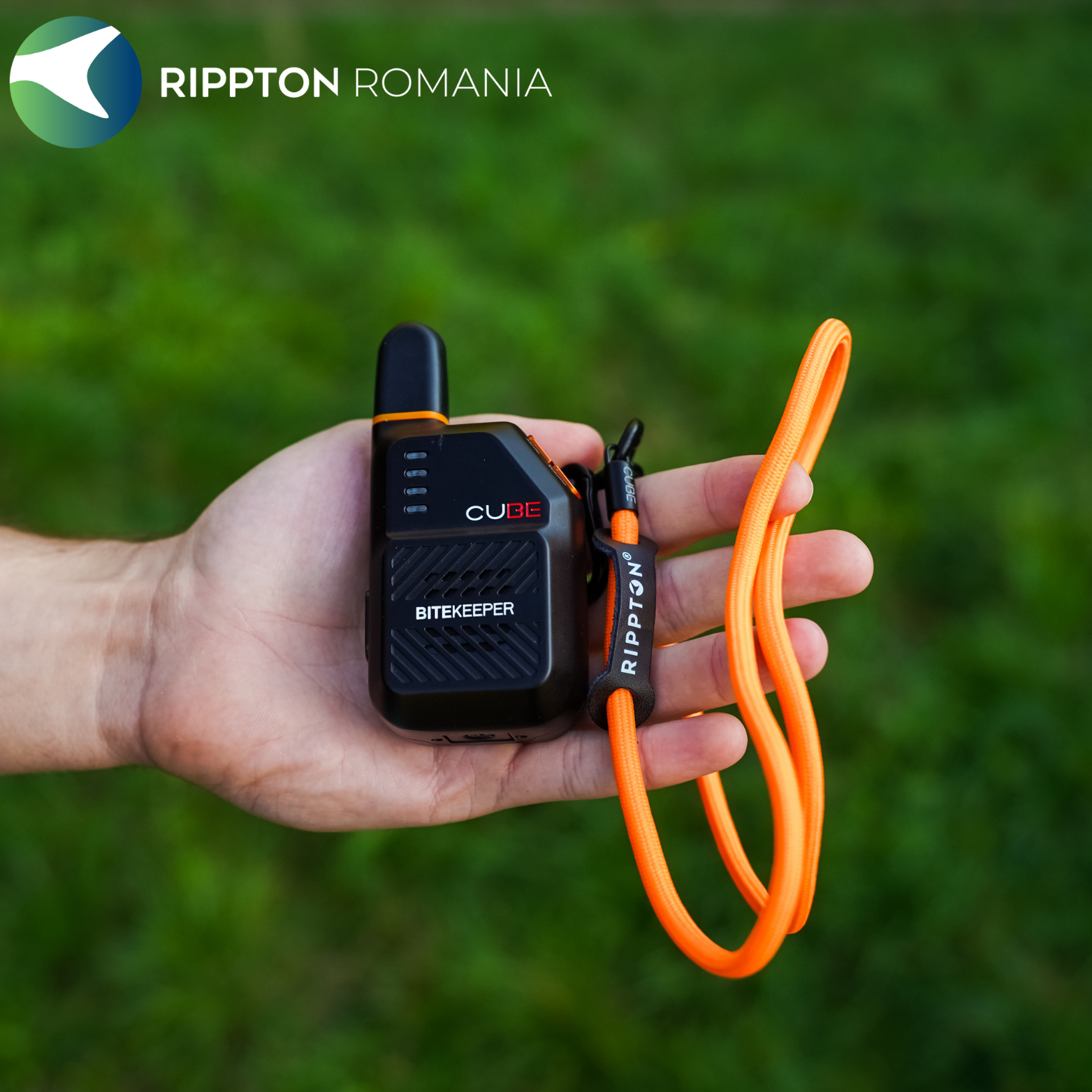 Rippton - Cube indicator de mușcătură