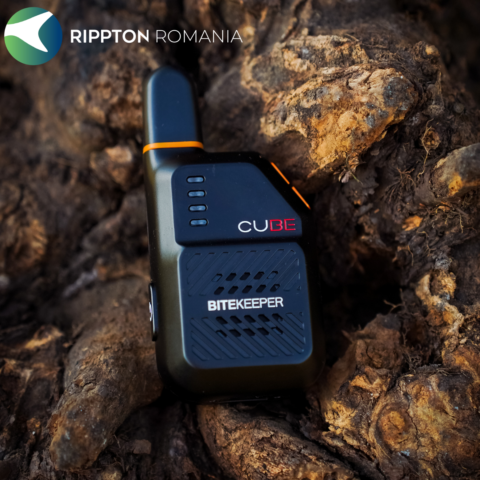 Rippton - Cube indicator de mușcătură