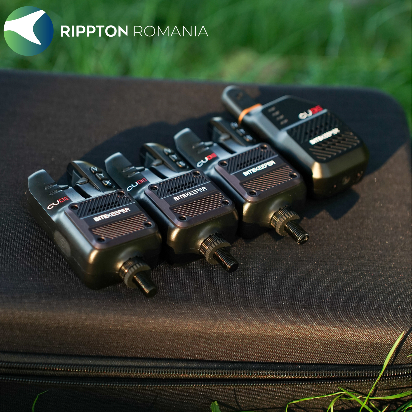 Rippton - Cube indicator de mușcătură