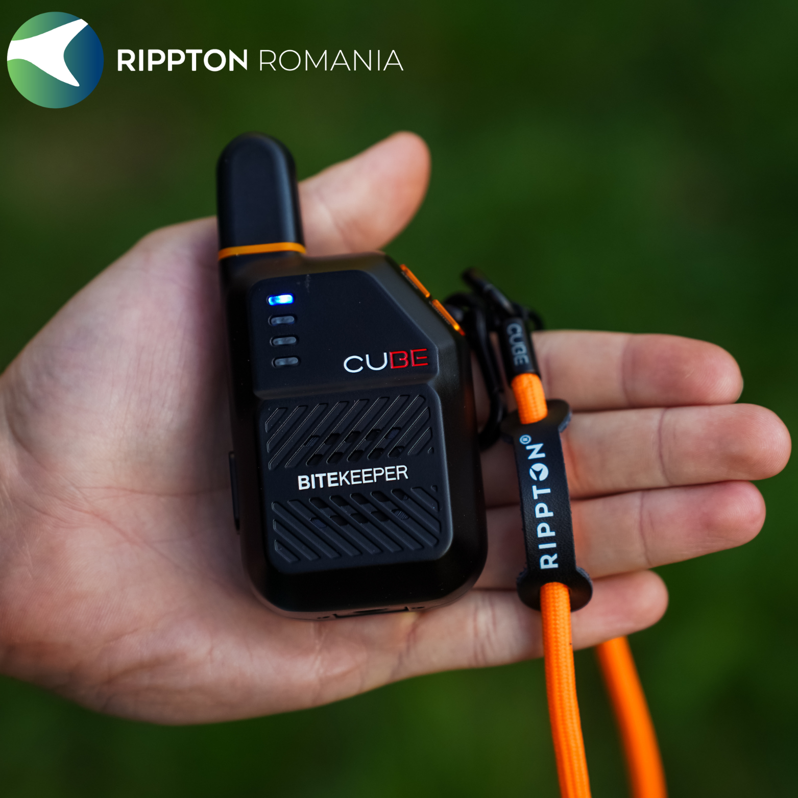Rippton - Cube indicator de mușcătură