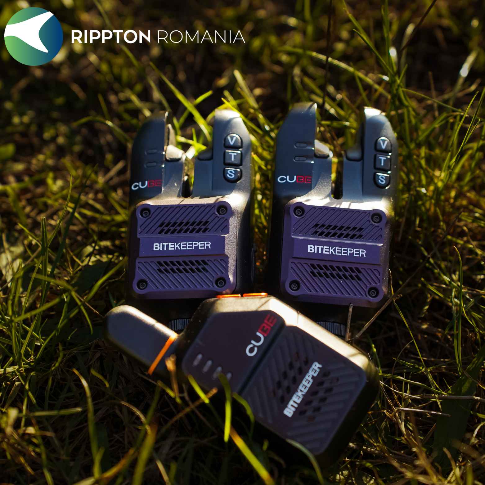 Rippton - Cube indicator de mușcătură