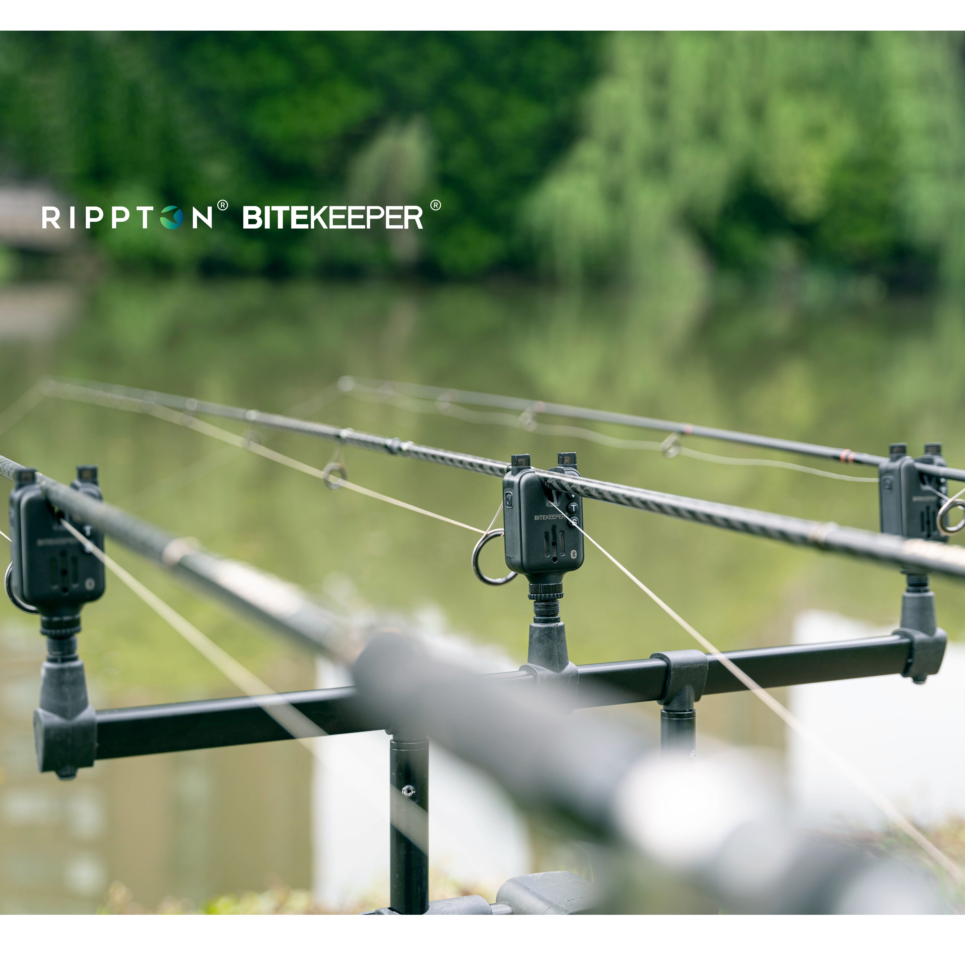 Rippton - Alarmă de mușcătură BiteKeeper Pro + Lanternă frontală StellarLight gratuită